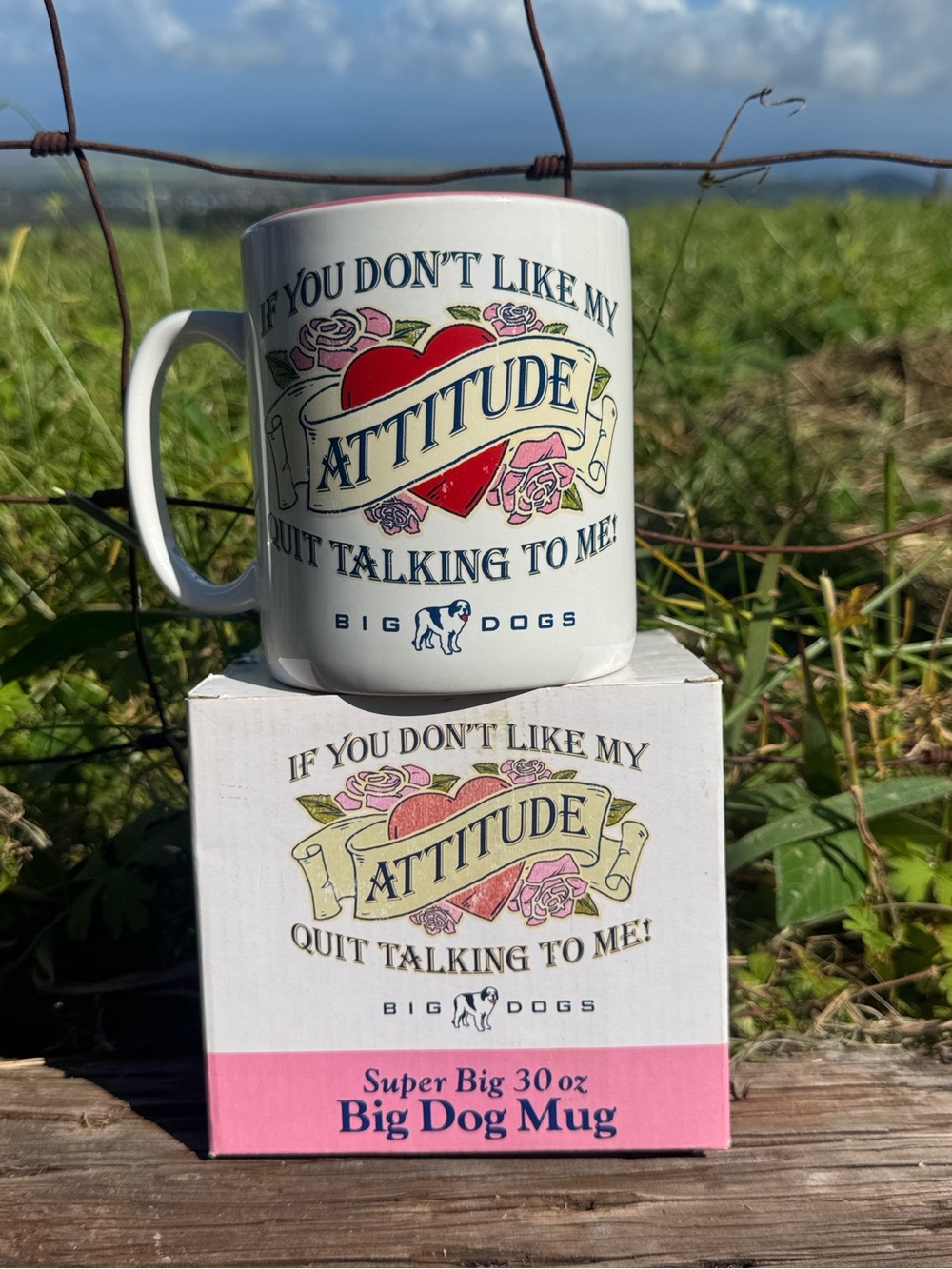 VTG 90s Big Dogs don’t like my Attitude Stop Talking to me Supper big 30oz mug
